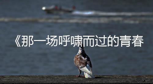 《那一场呼啸而过的青春》预告海报双发 “喜欢你就要耍女流氓”成青春宣言