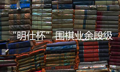 “明仕杯”围棋业余段级位赛首创人机双赛新模式