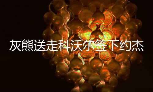 灰熊送走科沃尔签下约杰克逊 科沃尔湖人雄鹿等都要他