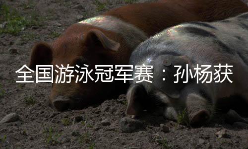 全国游泳冠军赛:孙杨获首金 比赛时间将持续到3月31日