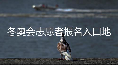 冬奥会志愿者报名入口地址 2020冬奥会申请时间方式指南