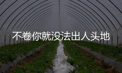 不卷你就没法出人头地