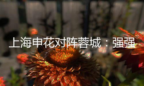 上海申花对阵蓉城：强强对话 关键要减少失误率