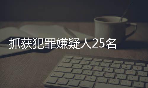 抓获犯罪嫌疑人25名 网警斩断侵犯公民个人信息黑色产业链