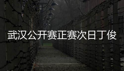 武汉公开赛正赛次日丁俊晖3杆破百 5