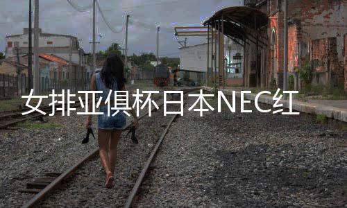 女排亚俱杯日本NEC红箭夺第二冠 佐藤淑乃荣膺MVP