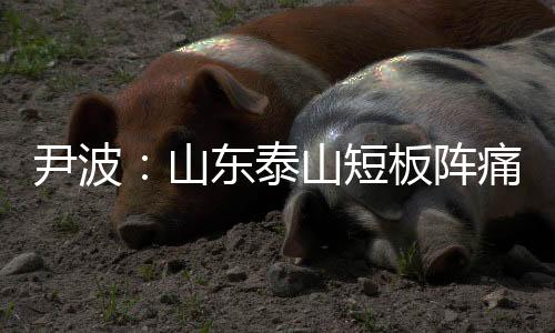 尹波：山东泰山短板阵痛还在继续！修修补补何时了