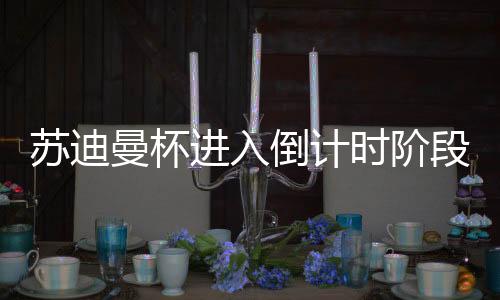 苏迪曼杯进入倒计时阶段 中国高校校友羽毛球挑战赛启动