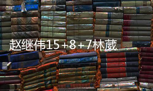 赵继伟15+8+7林葳空砍24分 辽宁送同曦3连败