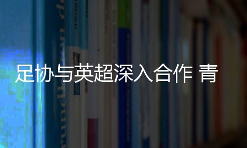 足协与英超深入合作 青训教练团赴英学习交流收获颇丰