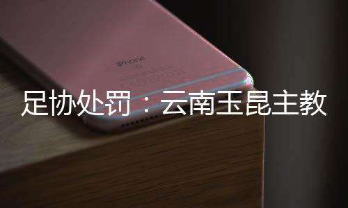 足协处罚：云南玉昆主教练被停赛3场罚款3万