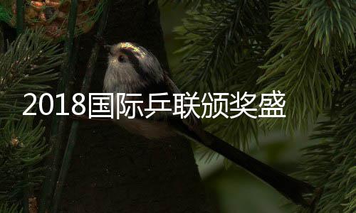 2018国际乒联颁奖盛典获奖名单 许昕荣获最佳得分奖