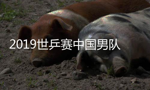 2019世乒赛中国男队马龙4比1击败美国小将卡纳克