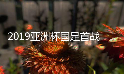 2019亚洲杯国足首战首发阵容名单 武磊+郜林搭档前锋线